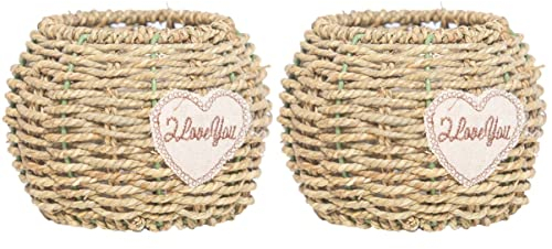 Cabilock 2 Pièces Panier De Fleurs en Paille Récipient De Pot De Fleur en Osier Contenants Panier D'épicerie Panier Tressé à La Main Cache-Pot Vase Panier Rotin Fleur d'herbe Algue