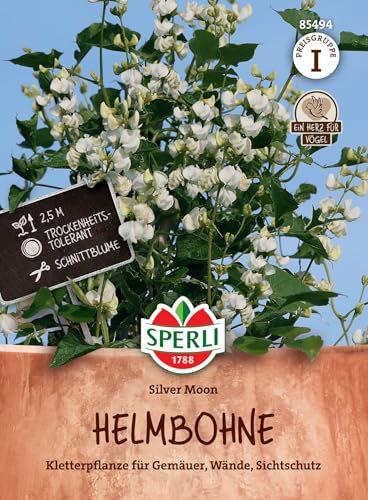 SPERLI Helmbohne 'Silver Moon' 85494 – einjährige Kletterpflanze, natürlicher Sichtschutz, dekorative Schnittblume, robust & trockenheitsverträglich