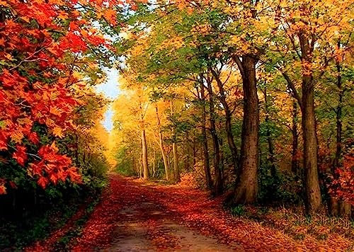 Artnapi Malen nach Zahlen Erwachsene mit Rahmen | DIY Handgemalt | Natur - Herbstwald | Kit für Anfänger und Erwachsene | Set inklusive Acrylfarben & Pinsel | 40x50cm Leinwand | Ideal als Geschenk