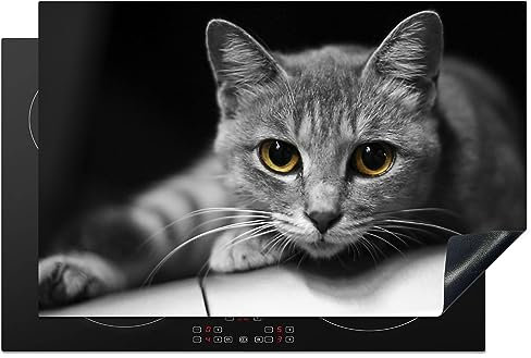 MuchoWow Herdabdeckplatte Ceranfeld Spritzschutz Küche Katze - Tier - Makro 81x52 cm Induktionsherd Abdeckung Induktionskochfeld Ceranfeldabdeckung