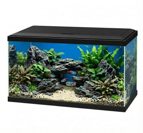 Love Aquatics 60 LED Tropical Glass Black Aquarium - Includes Filter, Lights & Heater 58L Fish Tank With FREE Syphon Kit and Thermometer