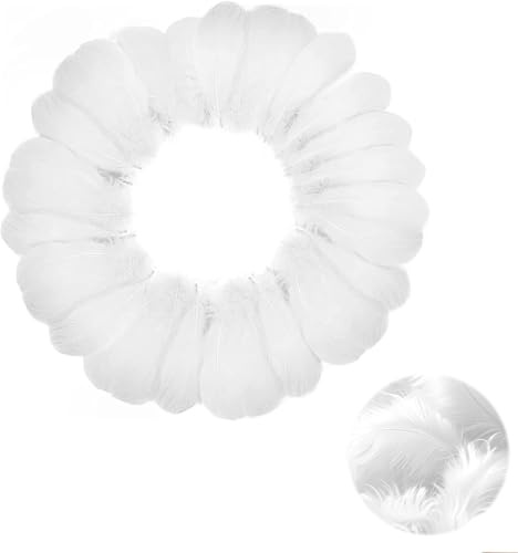 LBJFYHJN 150 Stück Weiße Federn zum Basteln, 5-8 cm Große Federn, Federn für Traumfänger, Dekorationszubehör für Hochzeit/Party/Tanz