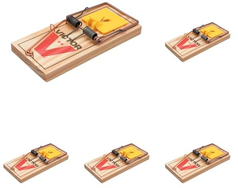 PROTECT HOME Rattenfalle Classic, Klassische Schlagfalle aus Holz zur effektiven und giftfreien Rattenbekämpfung, 1 Stück (Packung mit 5)