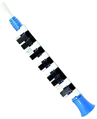 JOINPAYA Tasten Melodica Musikinstrument Für Anfänger Und Junge Mädchen Einfach Zu Lernen Pädagogisches Spielzeug Für Musikinteresse Geeignet Für Schule Party Und Erwachsene