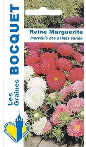 Sachet de graines de Reine Marguerite Merveille des Naines variée - 0,8 g - fleur annuelle - LES GRAINES BOCQUET