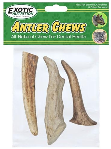 Exotic Nutrition Antler Chews - Safe Small Animal Chew - Natural Source of Healthy Minerals - Chinchilla, Hamster, Degu, Prairie Dog, Squirrel and Other Chewing Pets