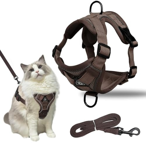 Imbracatura per Gatti Regolabile, Pettorina Gatto Antifuga, Pettorina Gatto Antifuga con Guinzaglio con Rete Traspirante e Strisce Riflettenti, Gilet Morbido e Regolabile per Cani Gatti (XL)