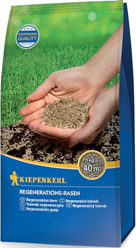Kiepenkerl Regenerations-Rasensamen 651104, 1 kg - Hohe Regenerationsfähigkeit, schnelle Keimung, ideal für Rasenreparatur, robust und keimstark