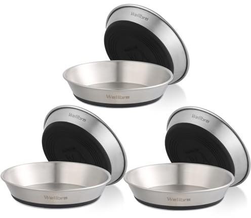 Katzennapf Edelstahl rutschfest, Futter- & Wassernapf Katze | Lebensmittelecht, schnurrhaarfreundlich, rutschfest, spülmaschinenfest. Ideal für Trocken- und Nassfutter, 6er-Pack