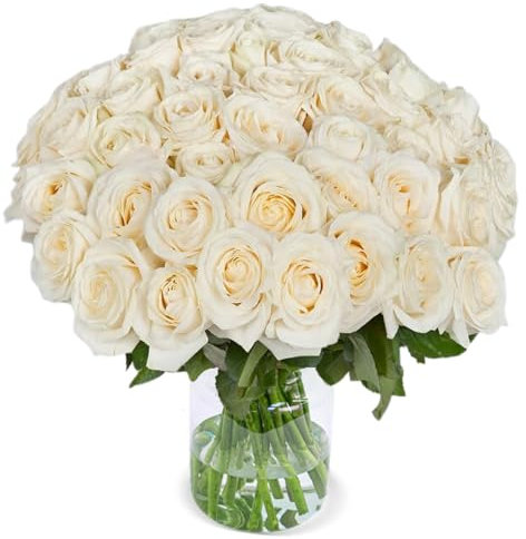 Blume Ideal Rosenstrauß - 50 Rosen - Weiß - Ø 40–50 cm - Echte premium Blumen für Hochzeit & Deko - 7 Tage Frischegarantie - in verschiedenen Farben und Mengen