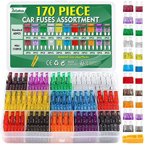 Bolatus 170Pcs Car Fuses Kit - 60 Standard + 110 Mini Blade Fuses 2A-40A Mixed Assortment for Car, Truck, RV & Motorcycle