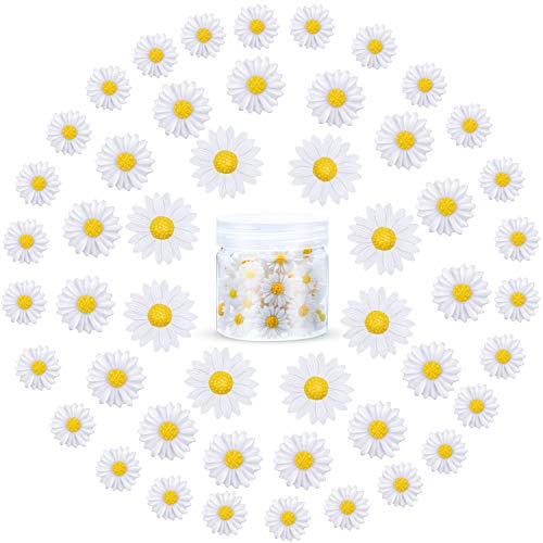 HICARER 50 Stücke Mini Harz Daisy Gänse Blümchen Blume Mini Dekorierte Gänseblümchen Gänseblümchen Blume Harz Charms mit Aufbewahrungsbox für DIY Handwerk Party Haus Dekoration, 3 Größen
