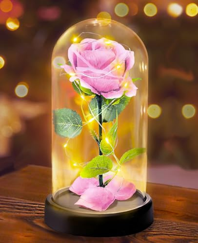 Touloube Rose Flower Gifts for Women, Light Up Artificial Flower Gift-Premium Rose Flower, Eternal Rose in Glass with Lights, for Mom Grandmother Grandma for Birthday, Anniversary