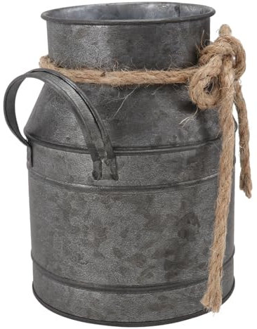 1 STK Mini-Container französisches Dekor saftiger Topf Vase Metall Zimmerpflanzentöpfe Pflanzendekor Blumentopf Vase Dekoration Ornamente Jahrgang Trommel Krug schmücken Milchkanne