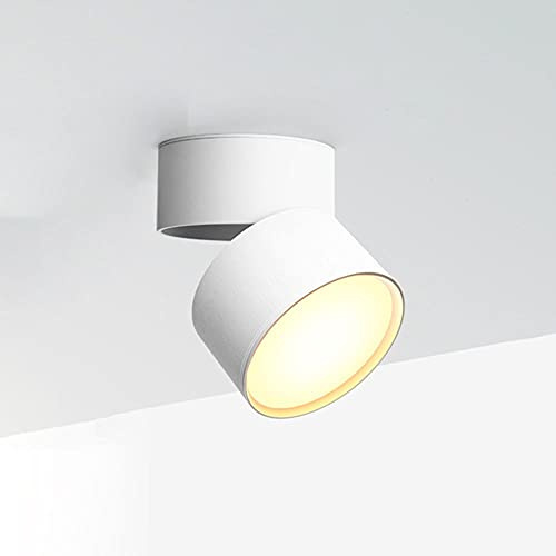USMCPQVXN Led Ceiling Spot Light 12W Surface Mounted Spotlight Accent Lamp, Adjustable Ceiling Light Metal Downlight, Living Room Kitchen Cloakroom Gallery Directional Spotlights/White4000K