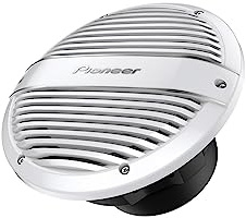 Pioneer TS-ME100WC - Subwoofer de grado marino serie ME de 25 cm / 10 pulgadas (900 W)