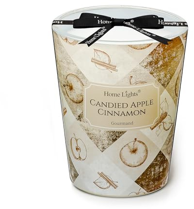 HomeLights Largo barattolo Candela | 1-Wick Candele profumate di lunga durata, 6.7oz Candela di cera di soia naturale per casa profumata, regali rustici moderni cannella di mela candita