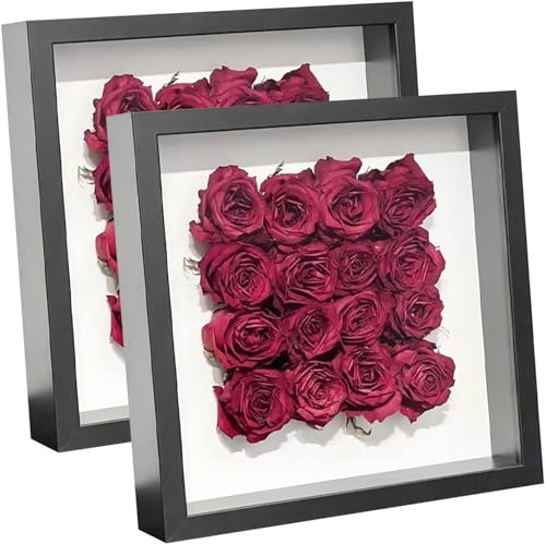 2pz Cornice per scatole ombra da esposizione 25,4 x 25,4 cm, cornice per fiori secchi, cornice per foto 3D con scatola da esposizione più profonda di 7,6 cm con pannello acrilico trasparente per foto