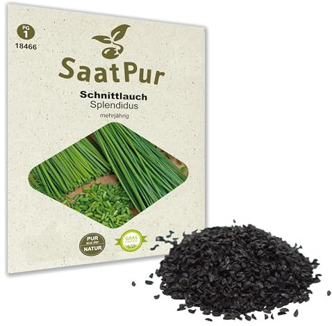 SaatPur Schnittlauch Samen, Saatgut für ca. 200 Pflanzen
