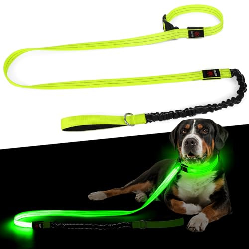 Leuchthalsband Hund & LED Hundeleine Set 2-in-1 Aufladbar mit Typ-C, 500m Sichtbarkeit Dehnbares Band für Nachtspaziergänge（Grün，L