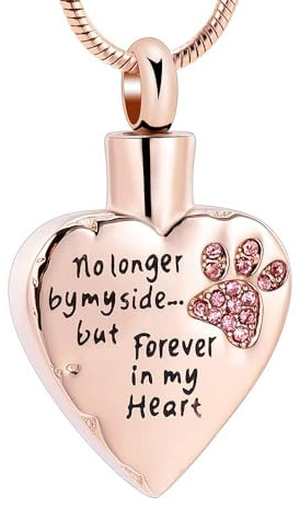 memorial jewelry Deine Flügel waren bereit, aber mein Herz war nicht Edelstahl geschnitzt Medaillon Kremation Urne Halskette für Haustier Hund Katzen