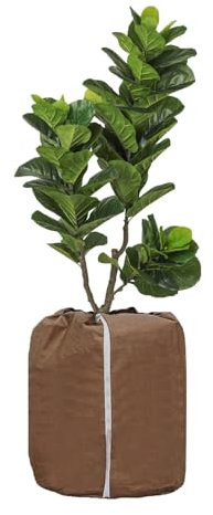 SIGANDG Funda para Plantas,Bolsa Anticongelante para Plantas en Maceta, Cobertor de Invierno para Plantas, Funda Protectora para Plantas, con Cordón y Cremallera (45 x 50 cm)