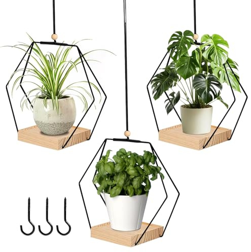 Lot de 3 pots de fleurs suspendus à l'intérieur avec socle en bois, pots suspendus pour plantes, pots de fleurs suspendus en métal, avec base en bois, pour l'intérieur et l'extérieur, terrasse, balcon
