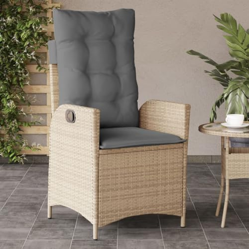 QZZCED Gartensessel mit Kissen Verstellbar Beigemischung Poly Rattan Freizeitstühle Terrassenstühle für Schwimmbäder