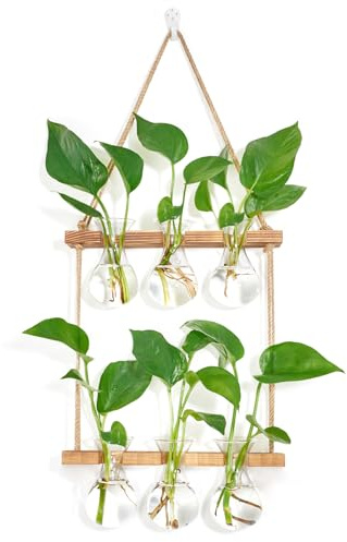 XXXFLOWER Station de culture murale avec support en bois, 3 bulbes, vase à 2 étages en verre, stations de plantation pour la propagation hydroponique, boutures, maison, jardin, décoration de mariage
