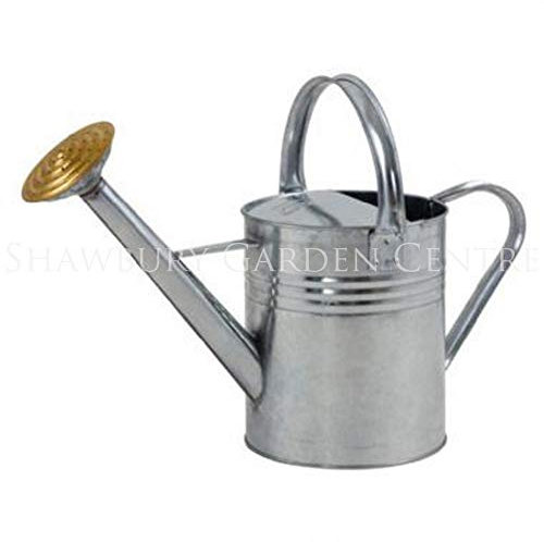 Ambassador - Regadera de Galvanizado (4,5 L) (Plateado)
