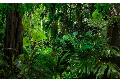 Forest Aquarium Background Densely Woods In Moss Natural Landscape Terrarium Background Lush Green Tropical Forest Jungle Ferns Fish Tank Background Old Huge Trees Reptile Habitat Background 60x24in