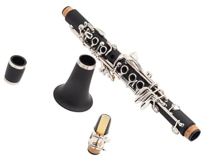 Klarinetteninstrument Es 17 Tonarten Erwachsenenunterricht Professionelle Klarinette Für Anfänger Und Erwachs