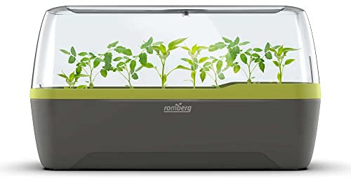 Romberg BoQube L Plus Mini Gewächshaus Anzuchtset & Pflanzkasten mit 10 selbstbewässernden Pflanzzellen und Bewässerungssystem, Zimmergewächshaus für Indoor Kräutergarten, 41×17×23 cm, Ant.-Sommergrün