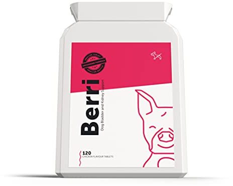 Dog's Lounge - Berri - Advanced Bladder & Kidney Support for Dogs | Supplement with Cranberry, Marshmallow Root, D-Mannose, Liquorice, Astragalus Root, Nettle Seed | UK Made | 120 Tablets