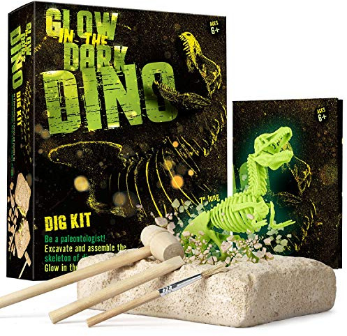 Dr. Daz Glow-in-the-Dark Dinosaur Skeleton Excavation Set for Children Dino Bone Excavation Toy Archaeology Palaeontology Gift