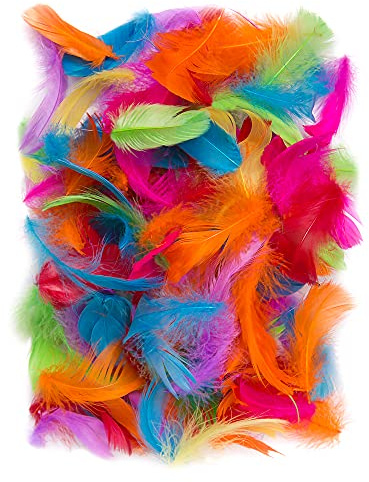 Netuno 150 Plumas Decorativas Multicolores 10g Manualidades Decoración Atrapasueños Fiestas Pascua Navidad Bricolaje Hogar Bodas Cumpleaños Decoraciones Árbol Mesas Proyectos Creativos