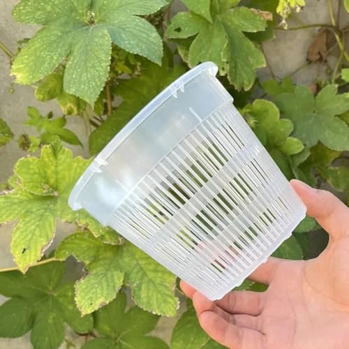 ZYNCUE Transparente Blumentöpfe zum Umtopfen von Pflanzen, Orchideentopf mit Löchern und Untersetzern, für gute interne Durchblutung, Pflanzen- und Umtopf-Gartentöpfe für Zuhause, Büro, Hof, 5 Stück