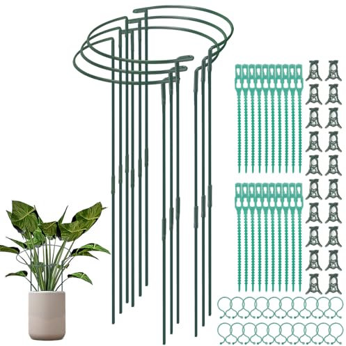 Vookkp 6 Pièces 25 x 65 cm Tuteur pour Plantes, Demi Rond Piquets de Plantes de Jardin en Métal Plantes Anneau de Support Vertes pour Légumes, Tomates, Hortensia, Pivoines et Roses