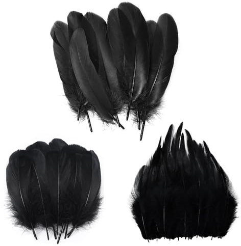 SNBUHA 300 StüCk Schwarze Federn, Federn zum Basteln Flauschig, Natürliche Bastelfedern für DIY Handwerk, Festivals, Teen & Adult, Urlaub Ohrringe Hut, Hochzeiten Und Bastelprojekte(3 Sizes)