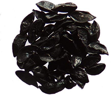 Ciboulette Commune Bio - 0,50 grammes - Allium Schoenoprasum L. - Chives - SEM02