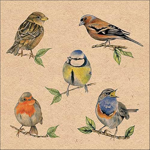 AMBIENTE 20 Servietten Tiermotive Vögel aus der Heimat als Tischdeko. Papierservietten mit Motiv. Auch für Decoupage und Serviettentechnik 33x33cm