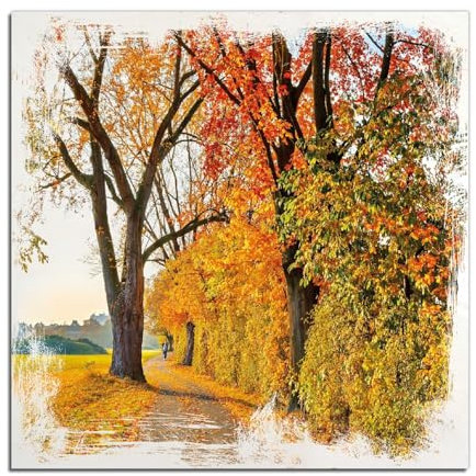 Wallario Wandbild aus Holz Herbstlicher Waldweg mit Buntem Laub - 50 x 50 cm in Premium-Qualität: Brillante Farben