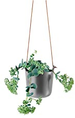 EVA SOLO | Selbstbewässernder Topf hängen Nordic Grey | Selbstbewässernder Kräutertopf | Nordic Grey