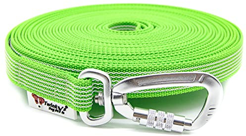 Twinkys Dog Style Schleppleine gummiert mit Sicherheitskarabiner 20 mm breit für Hunde bis 50 kg - OHNE Handschlaufe 5 Meter Neon Grün Made in Germany