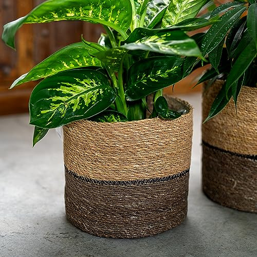DARO DEKO Seegras Korb rund dreifarbig Ø 38 x 35 mit Einsatz Blumentopf geflochten Aufbewahrungskorb Über-Topf Blumenkorb