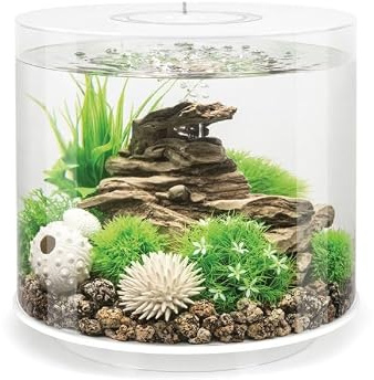 biOrb 92393 Tube 15 LED weiß - Aquarium, LED Beleuchtung, mit 360 Grad Blick auf die Unterwasserwelt