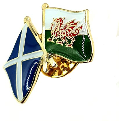 Wales Welsh Cymru Scotland Scottish Saltire United Kingdom UK Friendship Metal Country Flags Pin Badge