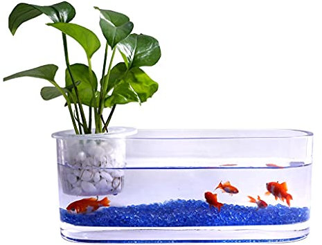 Aquarium, Kits de démarrage d'aquarium, Vase hydroponique en Verre Transparent créatif for Aquarium, décoration de Bureau, Petit Aquarium, réservoir de Plantes Aquatiques