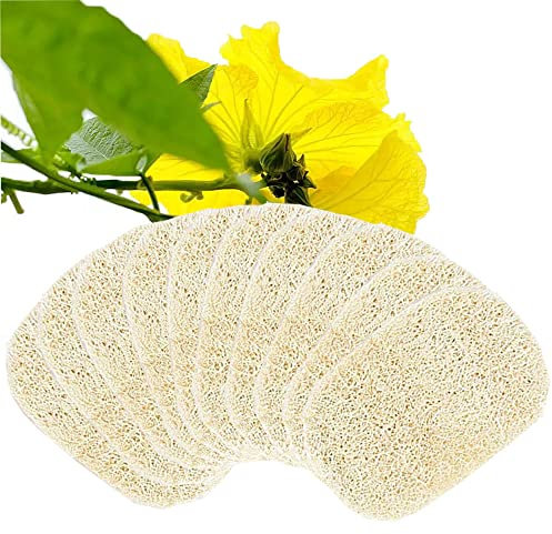 Voarge 10 Stück Natur Luffa Schwamm 8 * 13cm Luffa Schwamme, Seifenschale Seifenhalter Zubehör für Dusche/Bad/Küche/Arbeitsplatte, Beige