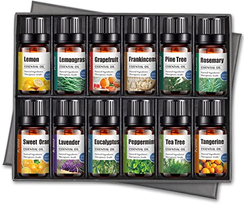 Bio Ätherische Öle 12-er Set - Natürliche Entspannung für alle Sinne | Lavendel, Pfefferminz, Teebaum, Süße Orange, Eukalyptus, Zitronengras, Rosmarin, Weihrauch, Zitrone, Mandarine, Pinie, Grapefru